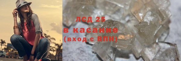 крисы Алзамай
