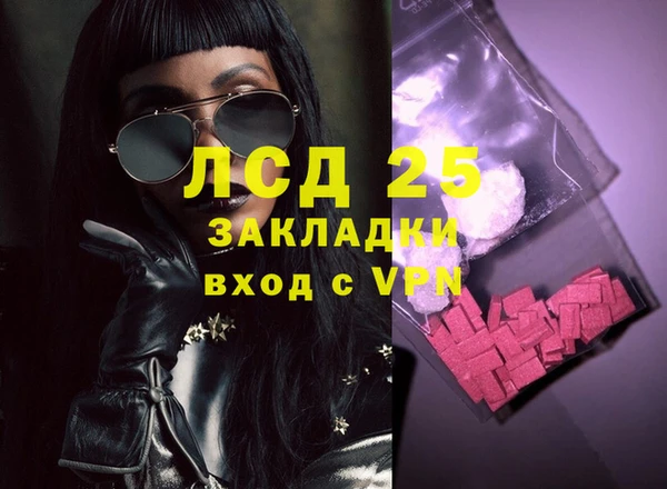 крисы Алзамай
