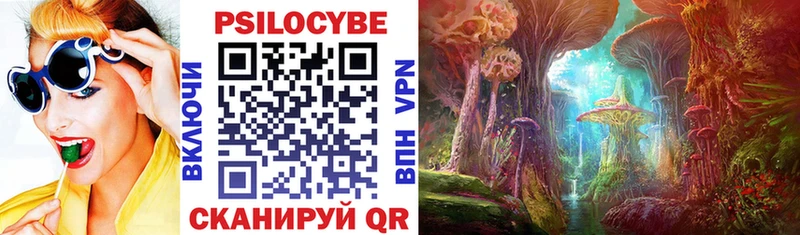 hydra как зайти  Тихвин  Псилоцибиновые грибы Psilocybe 