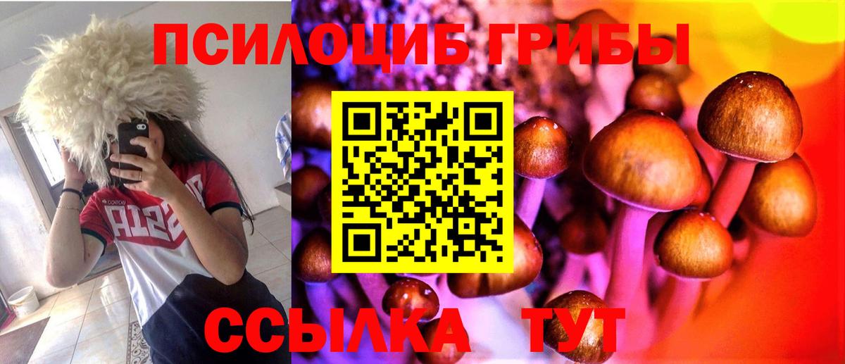 Галлюциногенные грибы мицелий  Галлюциногенные грибы MAGIC MUSHROOMS  Тихвин  Вход с VPN 